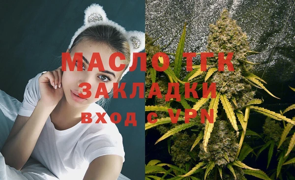 хмурый Верхний Тагил