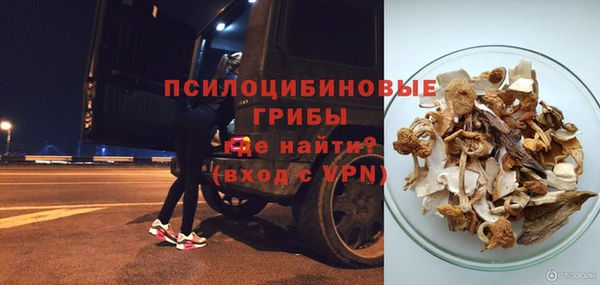 mdma Бородино